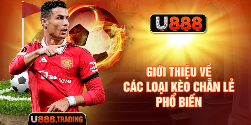 Giới thiệu về các loại kèo chẵn lẻ phổ biến