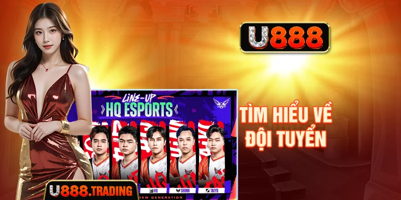 Tìm hiểu về đội tuyển